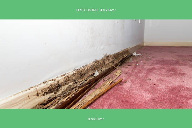 PEST CONTROL Black River